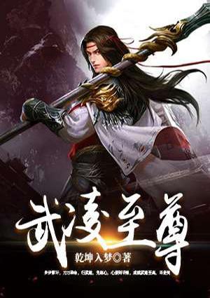 武凌至尊主角是秦初白羽