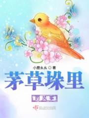 不见枪和弹