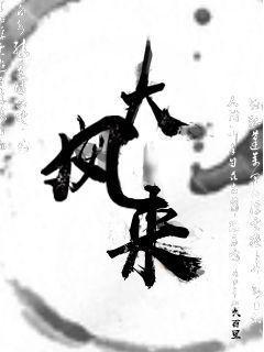 大风来电影