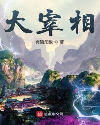 大宰相TXT全本