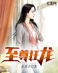至尊狂龙25集