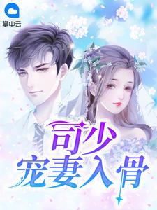 司少宠妻入骨gl