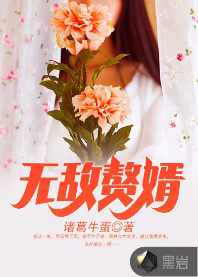 斗罗之无敌赘婿