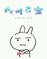 叫灵宝的女孩是什么电视