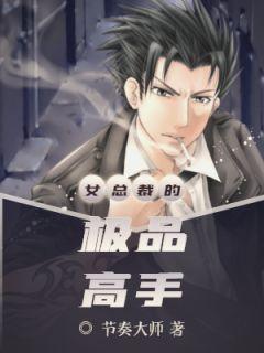 叶枫免费阅读全主角叶枫