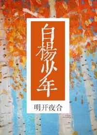 白杨少年书评