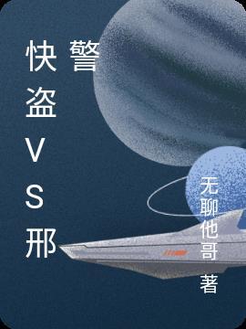快盗vs警察舞台剧解说