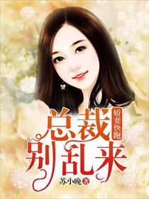 娇妻快跑总裁别乱来