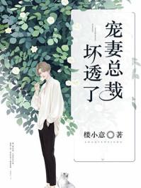 宠妻总裁坏透了完