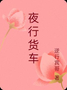 夜行货车电影在线观看