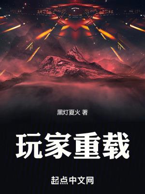 玩家重载书评
