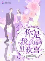 你是我满心欢喜对应的一句