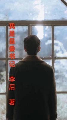 县委书记作为