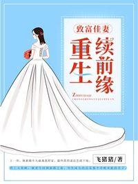 八零佳妻有喜