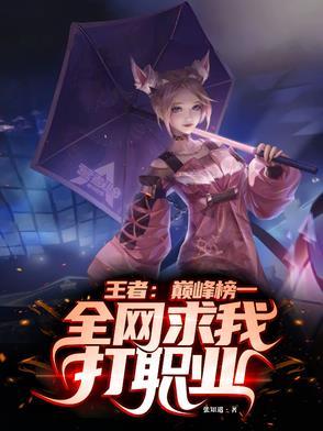 王者巅峰赛代打收费价格表