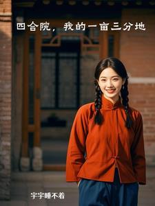 四合院我的一亩三分地