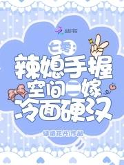 重生七零之辣媳当家免费