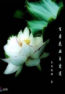 百看花丛自爱莲书评